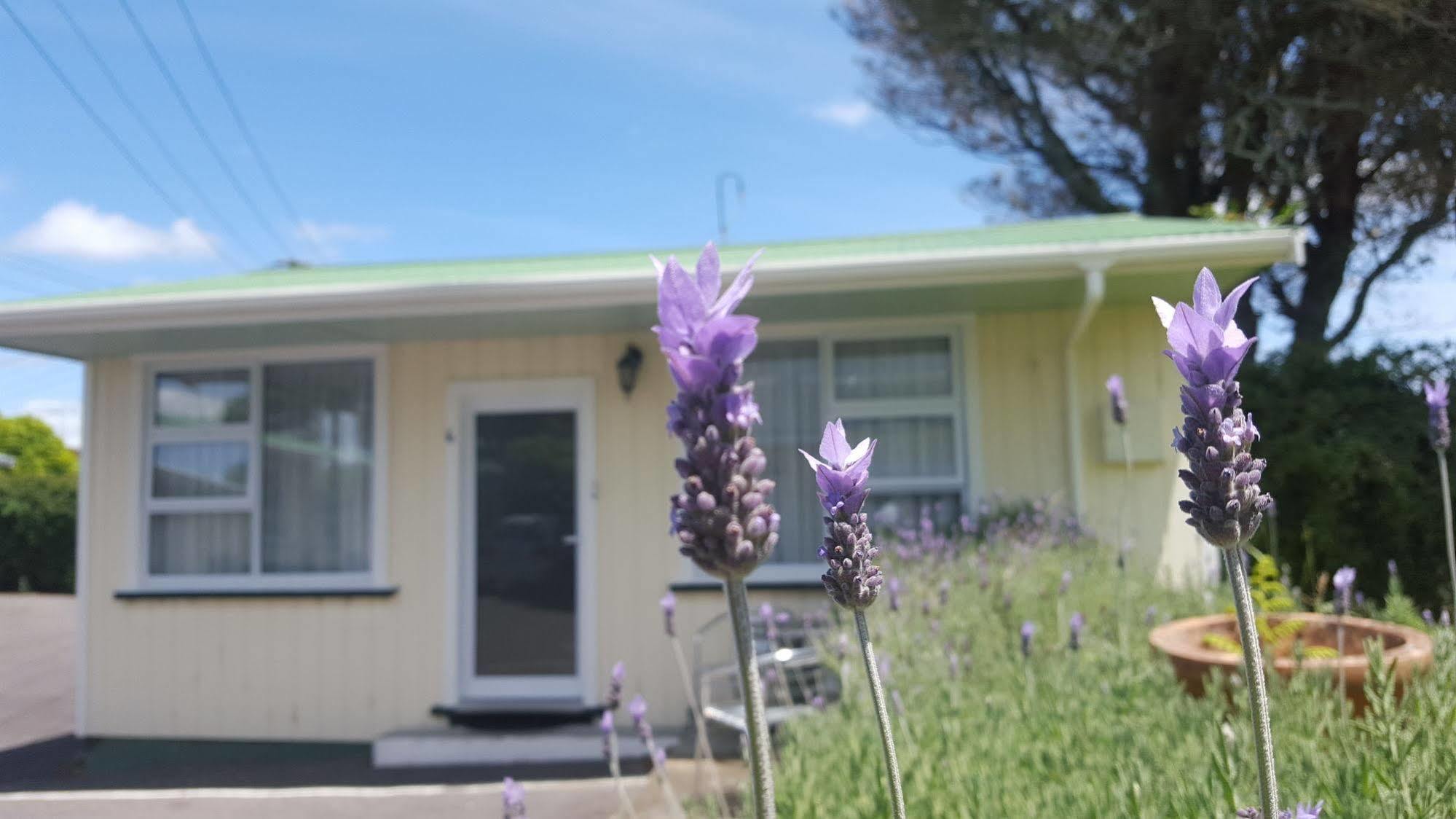 Timandra Motel New Plymouth Exterior foto